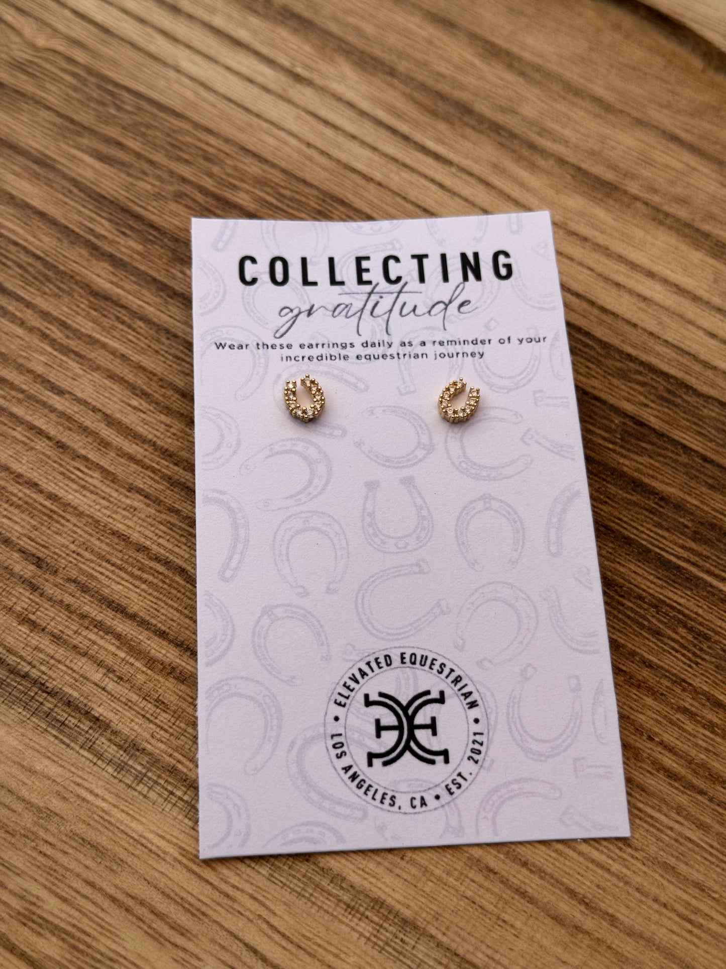 Horse Shoe Earrings - 14K Gold Filled