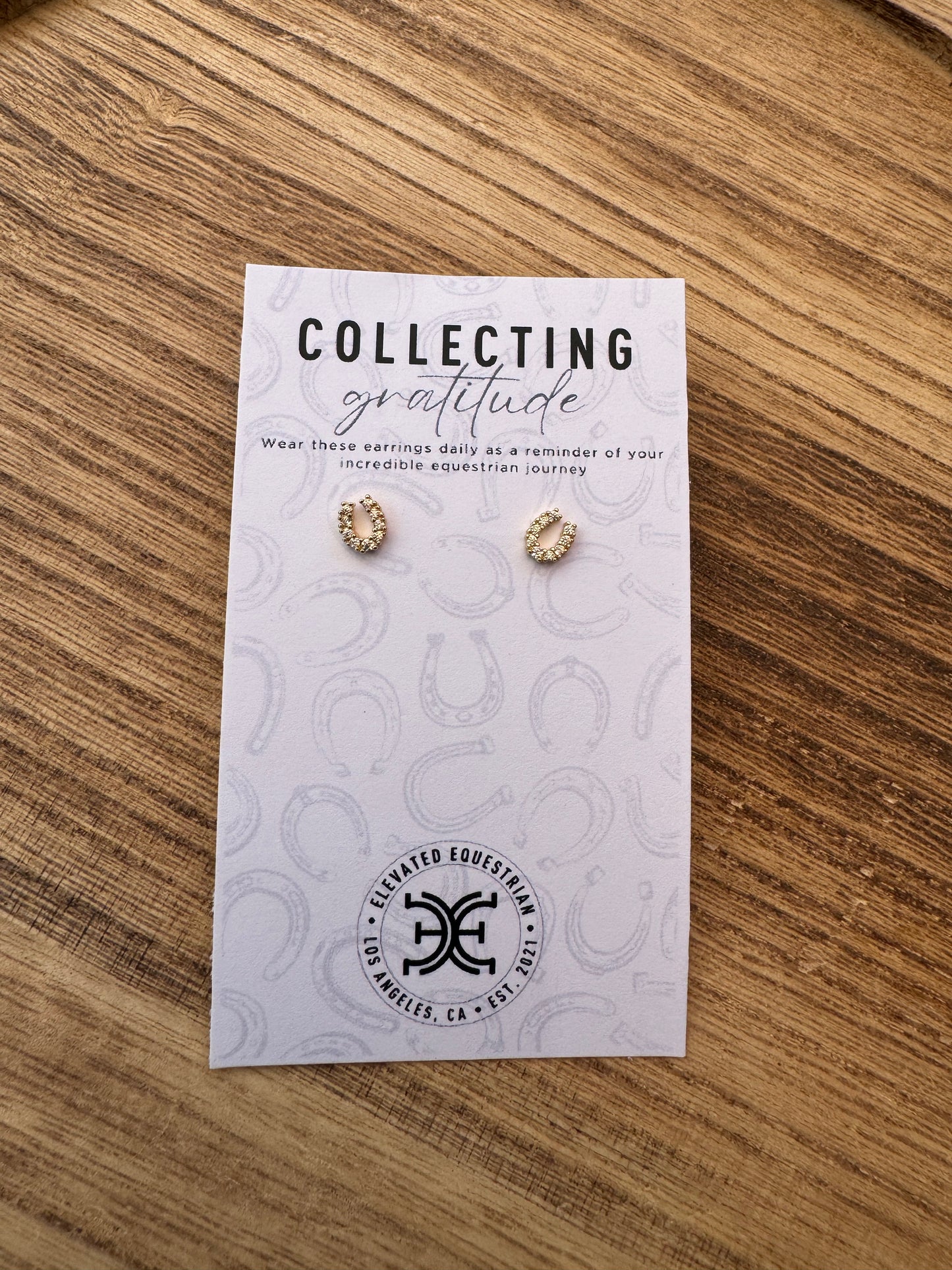 Horse Shoe Earrings - 14K Gold Filled