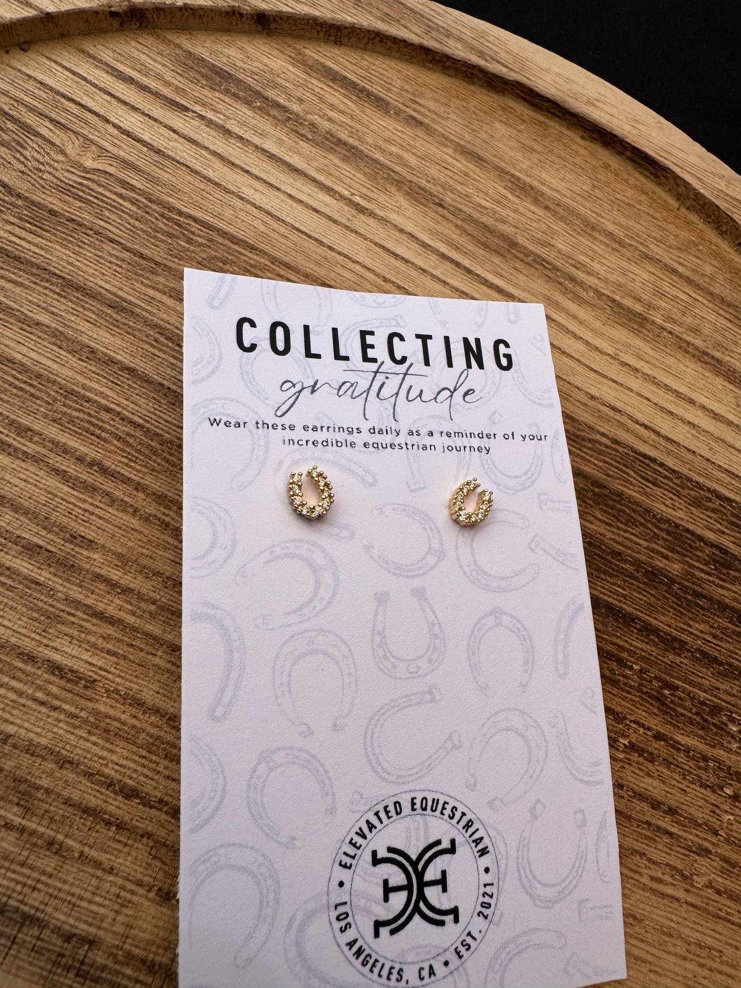 Horse Shoe Earrings - 14K Gold Filled